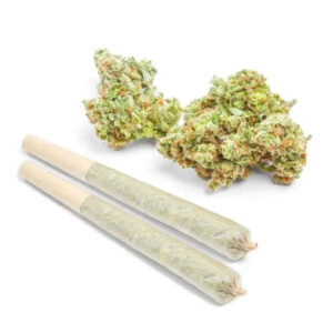 Alternative view of THCa Prerolls