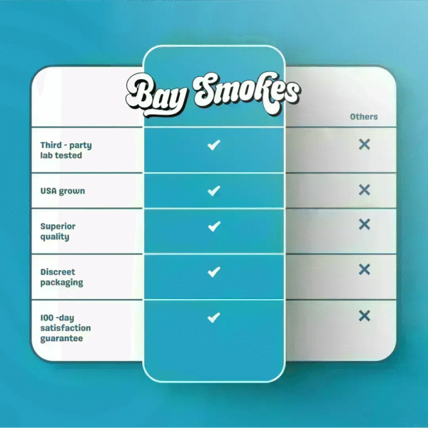 Baysentials - Image 4