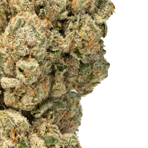 White Cherry Gelato THCa Strain - Image 2