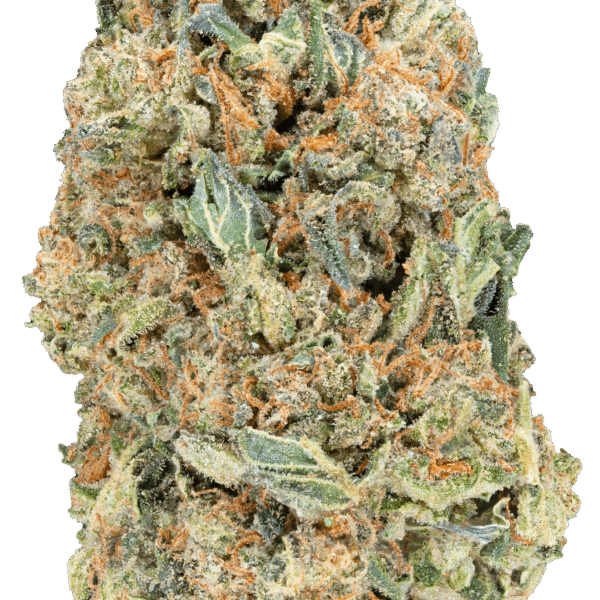 Greenhouse THCa Flower - Image 2
