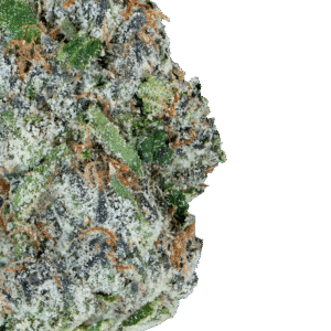 Alternative view of Alien ET THCa
