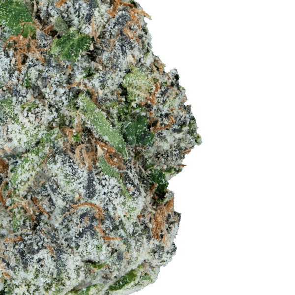 Alien ET THCa - Image 2