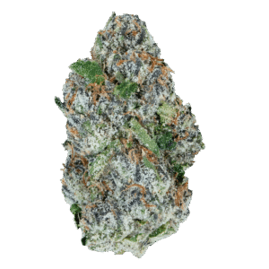 Alien ET THCa