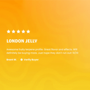 Alternative view of London Jelly THCa Live Hash Rosin