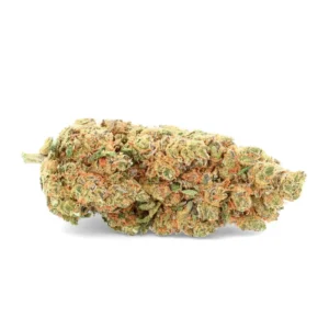 O.G Cookie - Fleur de CBD - Ivory