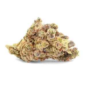 Durban Poison - Fleur de CBD - Ivory