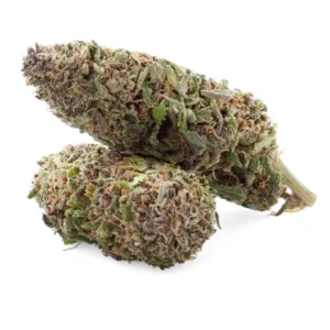 Legendary - Fleur de CBD